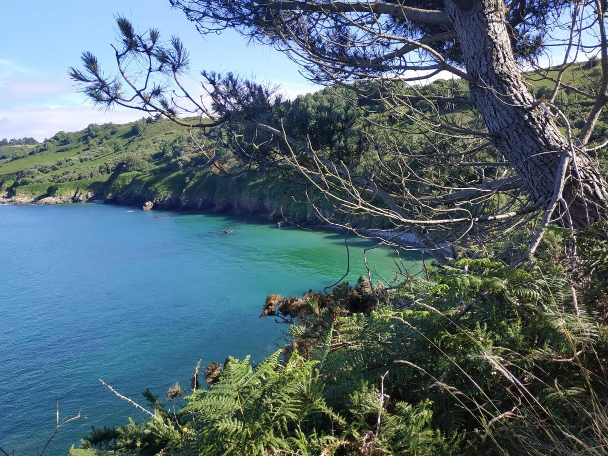 Maison de 2 chambres a Guimaec a 500 m de la plage avec vue sur la mer jardin amenage et wifi Extérieur photo